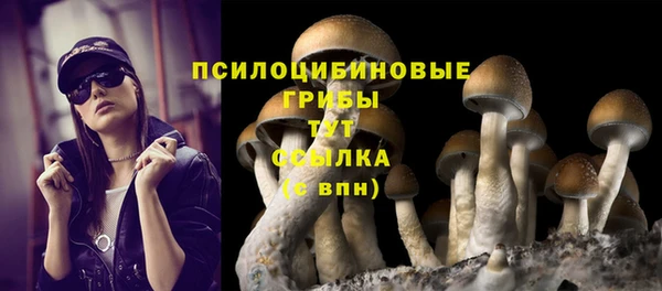дживик Аркадак