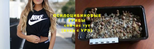MDMA Арсеньев