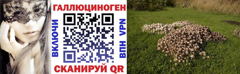 Псилоцибиновые грибы GOLDEN TEACHER  где можно купить   Бабаево 