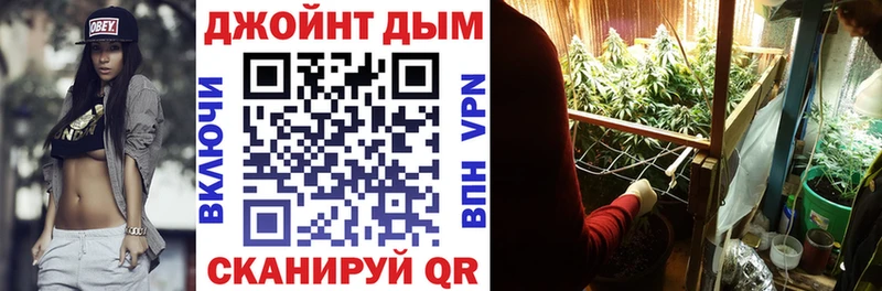 Бошки марихуана MAZAR  где можно купить наркотик  Бабаево 